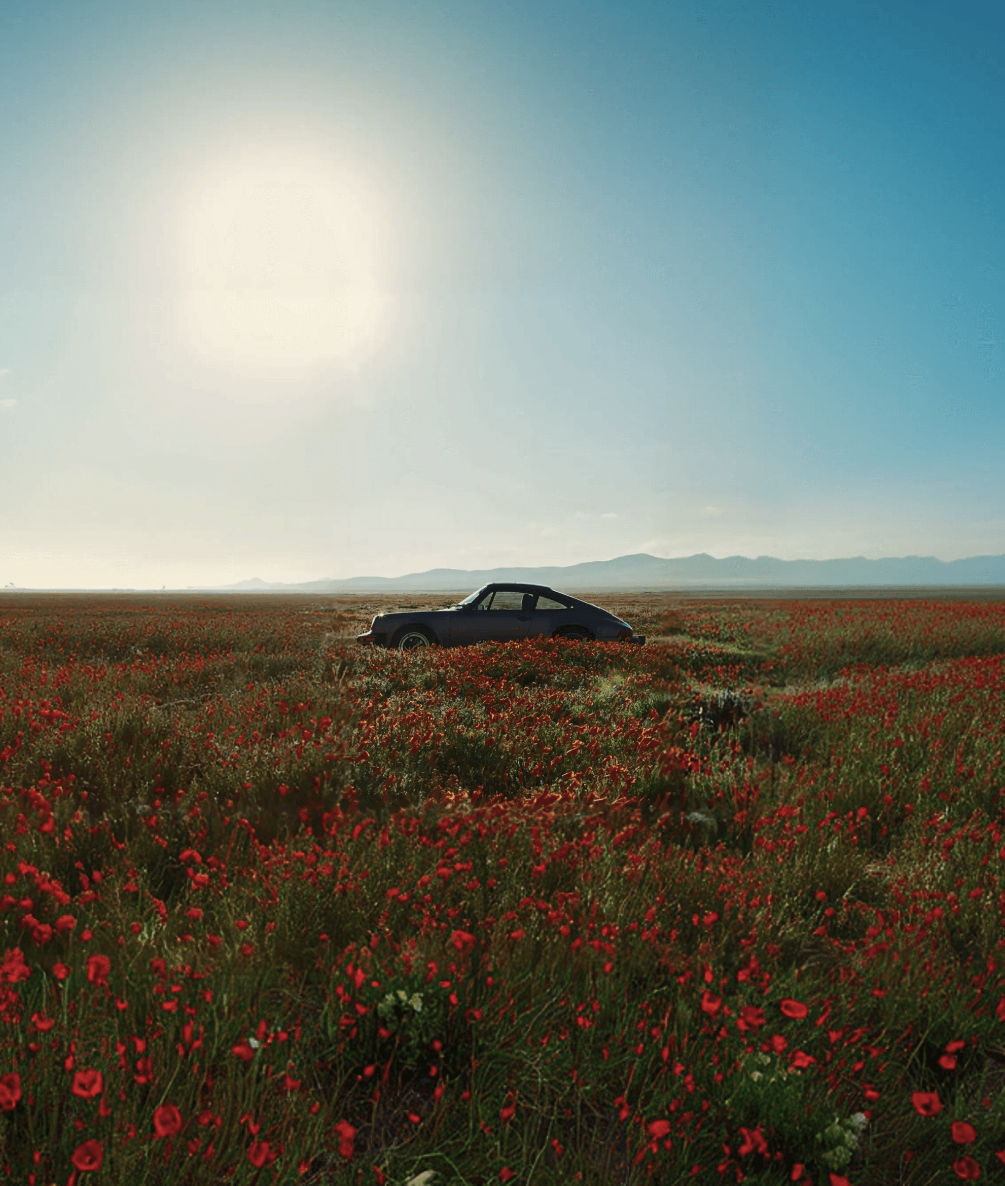 Olfactory - Natural car freshener