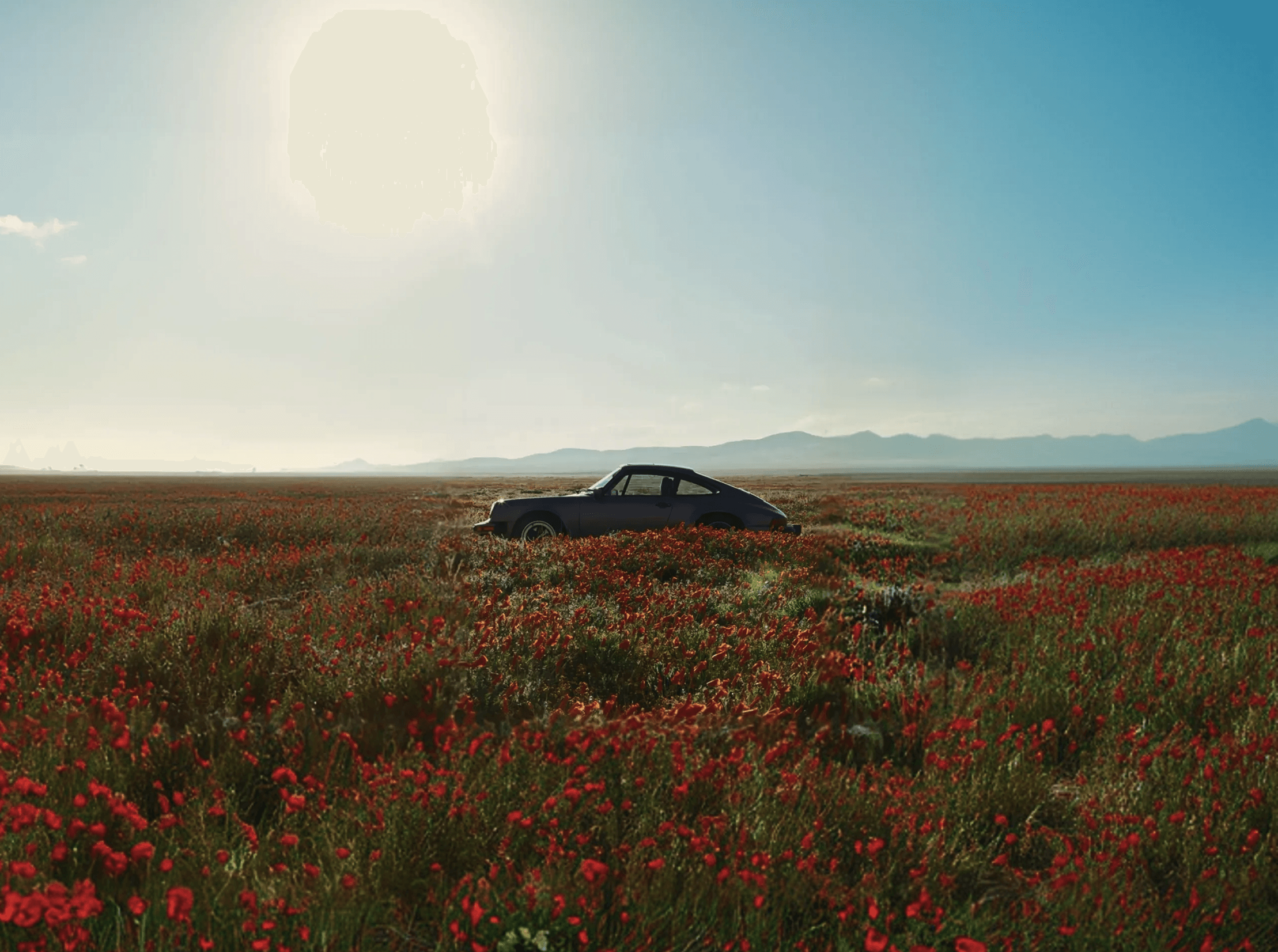 Olfactory - Natural car freshener